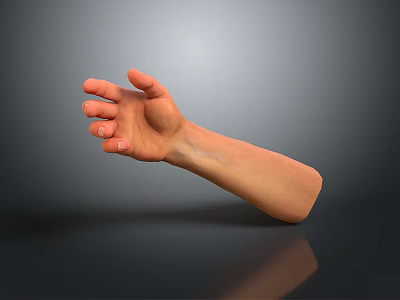 Man's Extended Arm With Open Palm Against Gray Background And Reflection 3d model