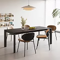 Modern Dining Table Set With Dark Wooden Table Black Brown Chairs In Bright Room With Plants