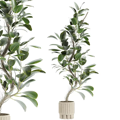 Vase Flowers 3d model