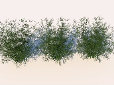 Modern grass common ornamental vegetation 3d model
