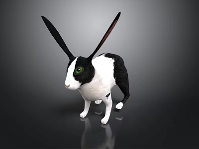 Cute Black And White Rabbit With Long Ears And Green Eyes 3d model