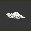 Turtle Cartoon Turtle Snapping Turtle Chickbill Turtle Reptile Cold Blooded Animal Reptile Class 3d model