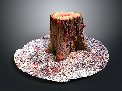 Natural Wooden Stump Display With Stone Base And Textured Ground Covering 3d model
