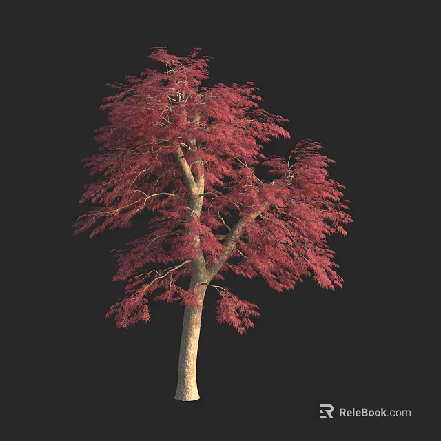 Tall Arbor With Red Foliage Lush Branches And Slender Light Trunk 3d model 
