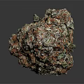 Natural Wood Stone With Colorful Red Green Textures And Rough Decorative Surface