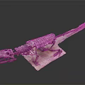 Complete Dinosaur Skeleton Fossil Displayed With Detailed Bone Structure On White Base