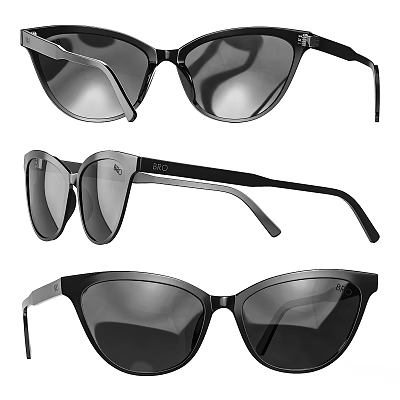 Stylish Black Frame Sunglasses Accessory Set With Modern Design And Different Styles 3d model