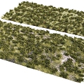 grass grass grass grass grass green plant 3d model