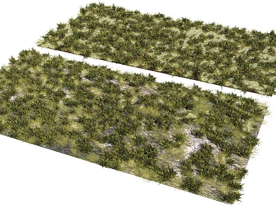 Natural Green Grass Turf for Garden Landscaping Ground Covering with Vibrant Color and Dense Texture 3d model