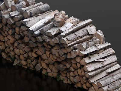 Lush Green Garden Shrub With Healthy Foliage And Vibrant Growth 3d model