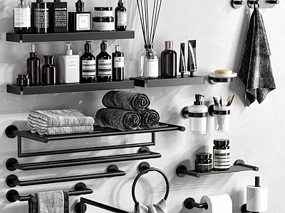 Modern Bathroom Accessories Organized on Shelves Racks and Holders with Towels Toiletries and Diffusers 3d model