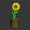 Potted Yellow Sunflower With Sad Face And Green Stem In Yellow Pot
