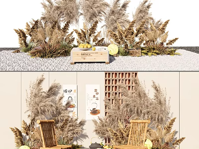 Pampas Grass and Dried Plants with Wooden Box Pebbles Wooden Chairs and Wall Shelves 3d model