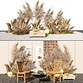 Pampas Grass and Dried Plants with Wooden Box Pebbles Wooden Chairs and Wall Shelves