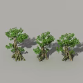 Three Arbor Trees 3D Models Featuring Green Foliage And Twisted Trunks 3d model