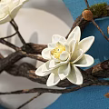 Elegant Wall Decor On White Wall With Blue Square Background Branches And White Flowers 3d model
