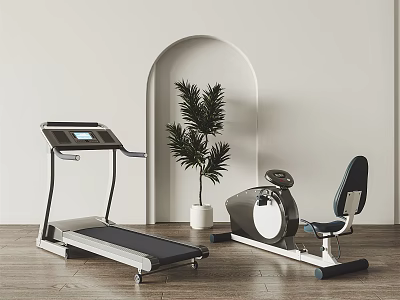 Treadmill And Exercise Bike Sports Equipment In Modern Interior With Arched Doorway And Plant 3d model