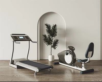 Treadmill And Exercise Bike Sports Equipment In Modern Interior With Arched Doorway And Plant 3d model