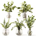 Fresh Green Eucalyptus Leaves In Transparent Glass Vase For Home Decor
