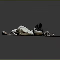 Stylish White Shoes With Red Blue Stripes Placed On Wooden Board Surface