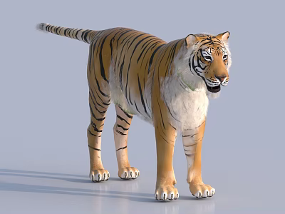 Tiger Patterned Reptile Standing On Light Background With Striped Skin 3d model