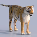 Tiger Patterned Reptile Standing On Light Background With Striped Skin 3d model