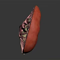 3D Rendered Human Brain Anatomical Structure Model with Detailed Layers