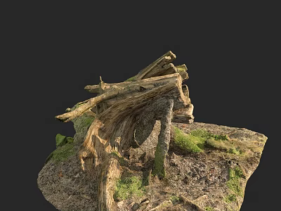 Stone and Wood Natural Structure With Moss Covered Texture And Organic Design 3d model