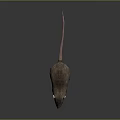 Mouse Wizard Mouse Warlock Cartoon Mouse Animation Mouse Animation Mouse Cartoon Character Cartoon Animal 3d model