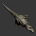 Detailed Tyrannosaurus Rex Dinosaur Model With Open Mouth Standing Pose On Neutral Background
