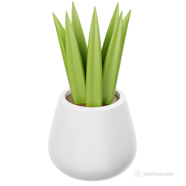 Indoor Green Plant with Long Green Leaves in White Ceramic Pot 3d model 