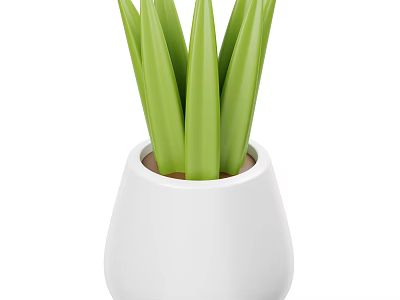 Indoor Green Plant with Long Green Leaves in White Ceramic Pot 3d model