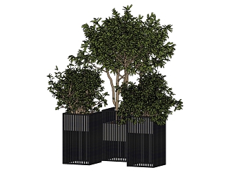 Modern potted plant green plant potted plant combination bonsai 3d model