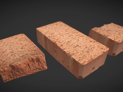 Three Red Bricks Displaying Natural Rough Surface Texture For Building Projects 3d model