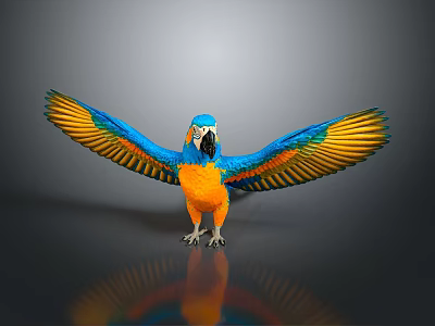 Blue and Orange Parrot with Spread Wings Vibrant Feathers on Grey Background 3d model