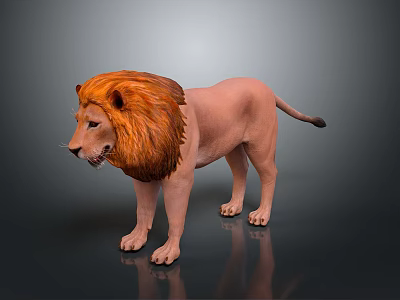 Detailed Lion Character Featuring Thick Brown Mane Standing In Studio 3d model