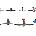 Collection of Different Flying Animals Featuring Chicken Goose Ostrich Parrot and Peacock