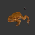 Game Movie Character Detailed Brown Toad With Colorful Cube 3D Render