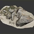 Unique Stone Wood Art Piece With Natural Form And Detailed Texture For Interior Decor