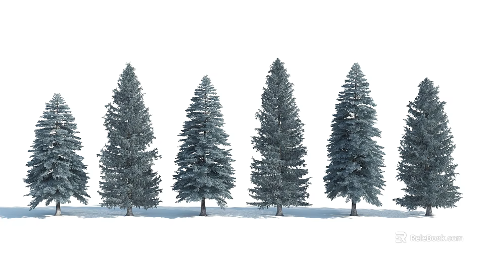 Tall Evergreen Trees Arranged In A Row With Green Foliage On White Background 3d model 