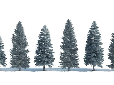 Tall Evergreen Trees Arranged In A Row With Green Foliage On White Background 3d model