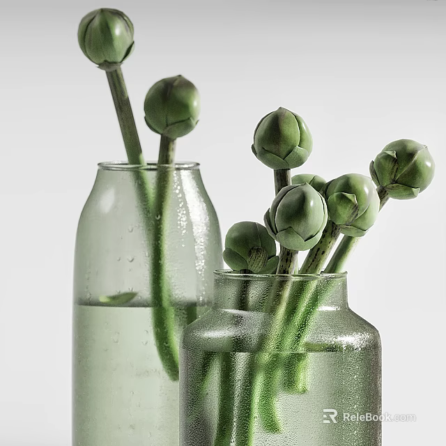 Fresh Green Flower Buds Arranged In Two Transparent Vases With Water 3d model 