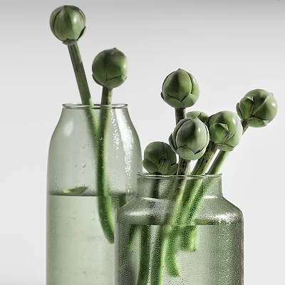 Fresh Green Flower Buds Arranged In Two Transparent Vases With Water 3d model