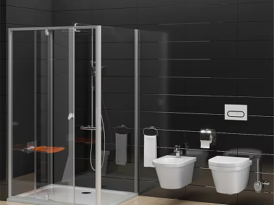 Shower Sauna Bathroom With Transparent Glass Enclosure Black Tiled Walls And Wall Mounted Toilets 3d model
