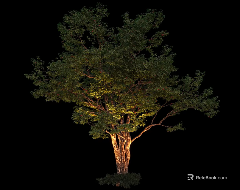 Lush Green Arbor With Dense Foliage And Illuminated Textured Trunk Against Black Background 3d model 