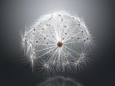 Dandelion Seed Puff Structure Featuring White Fluffy Pappus And Brown Seeds 3d model