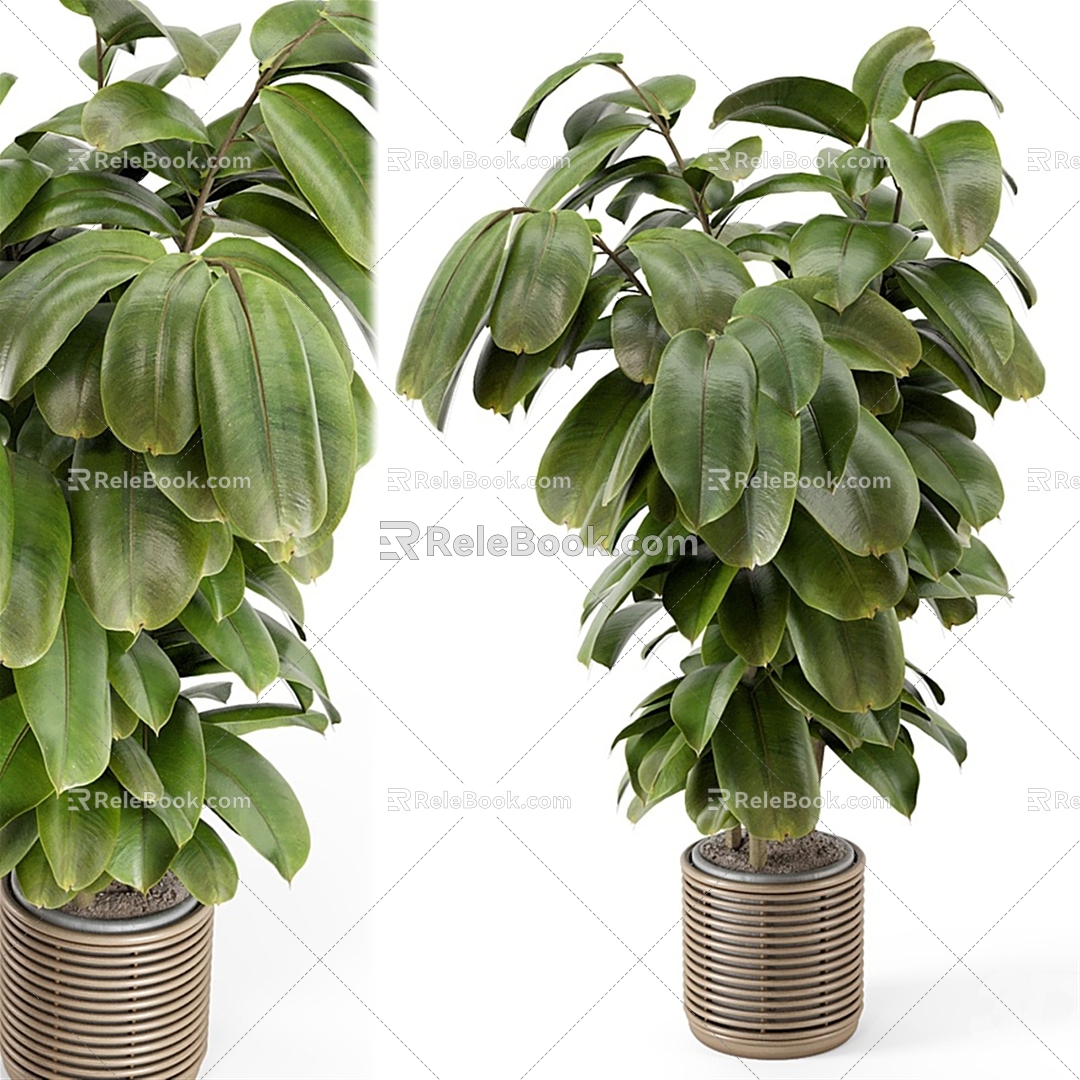 modern potted plant potted plant 3d model