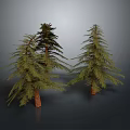 Three Pine Trees With Different Shapes Brown Trunks And Green Foliage 3d model