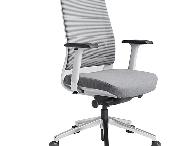 Ergonomic Office Chair With Mesh Back Gray Seat Black Armrests And Silver Base 3d model