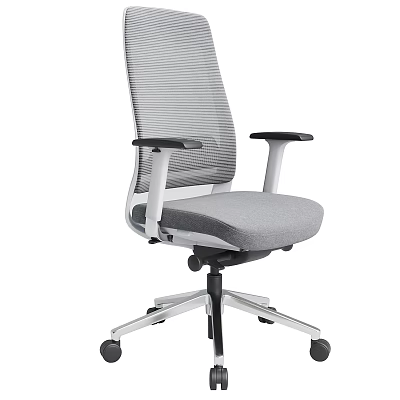 Ergonomic Office Chair With Mesh Back Gray Seat Black Armrests And Silver Base 3d model